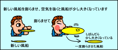 ペニス増大原理１